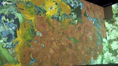Immersive Vincent Van Gogh experience enchants visitors