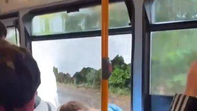 Council investigation launched after Stagecoach bus and Fife bin lorry crash