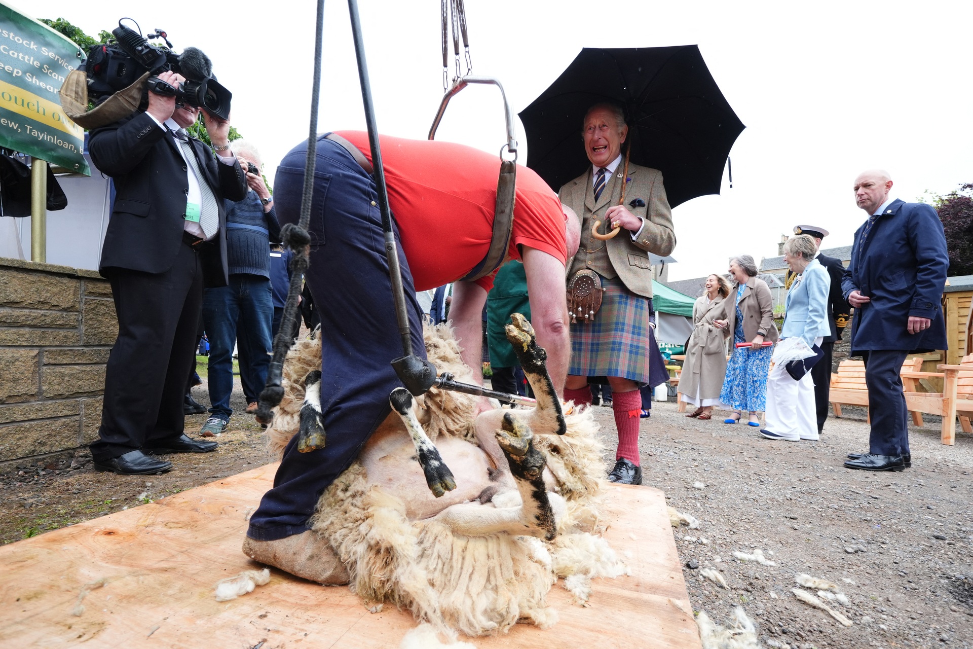King Charles III watches a sheep being sheared during a visit to Campbeltown Farmers' Market.