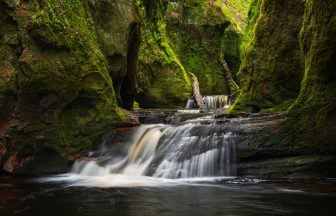 Dog rescued after falling at Devil’s Pulpit