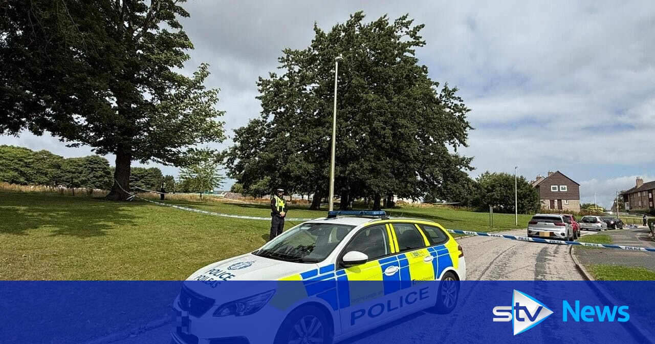 XL Bully dead and man in hospital after car driven into Aberdeen park ...