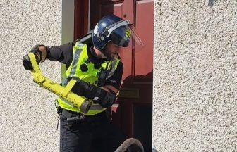 Watch police raid cannabis farms ‘linked to human trafficking’ across Glasgow