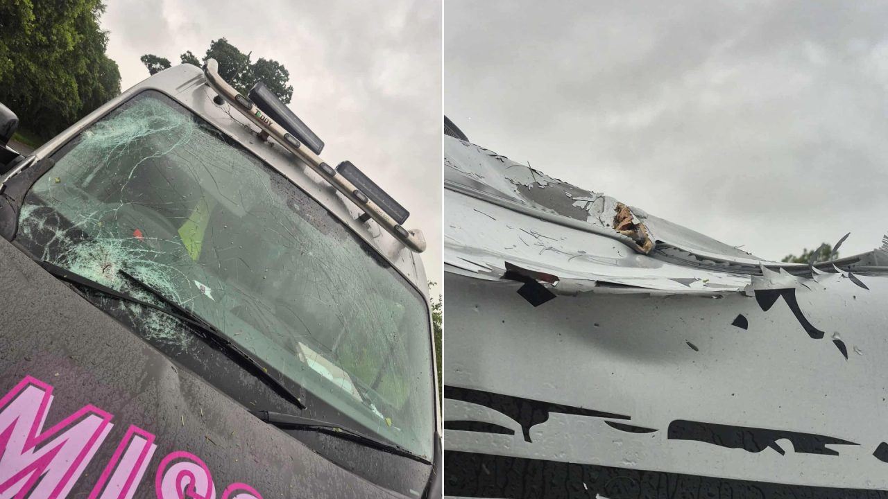Driver’s near miss as work van destroyed by falling tree during Storm Floris