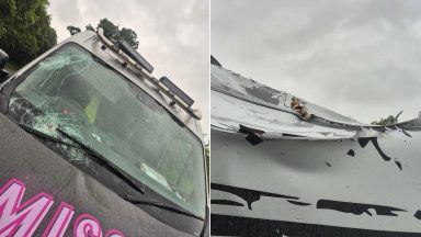 Driver’s near miss as work van destroyed by falling tree during Storm Floris