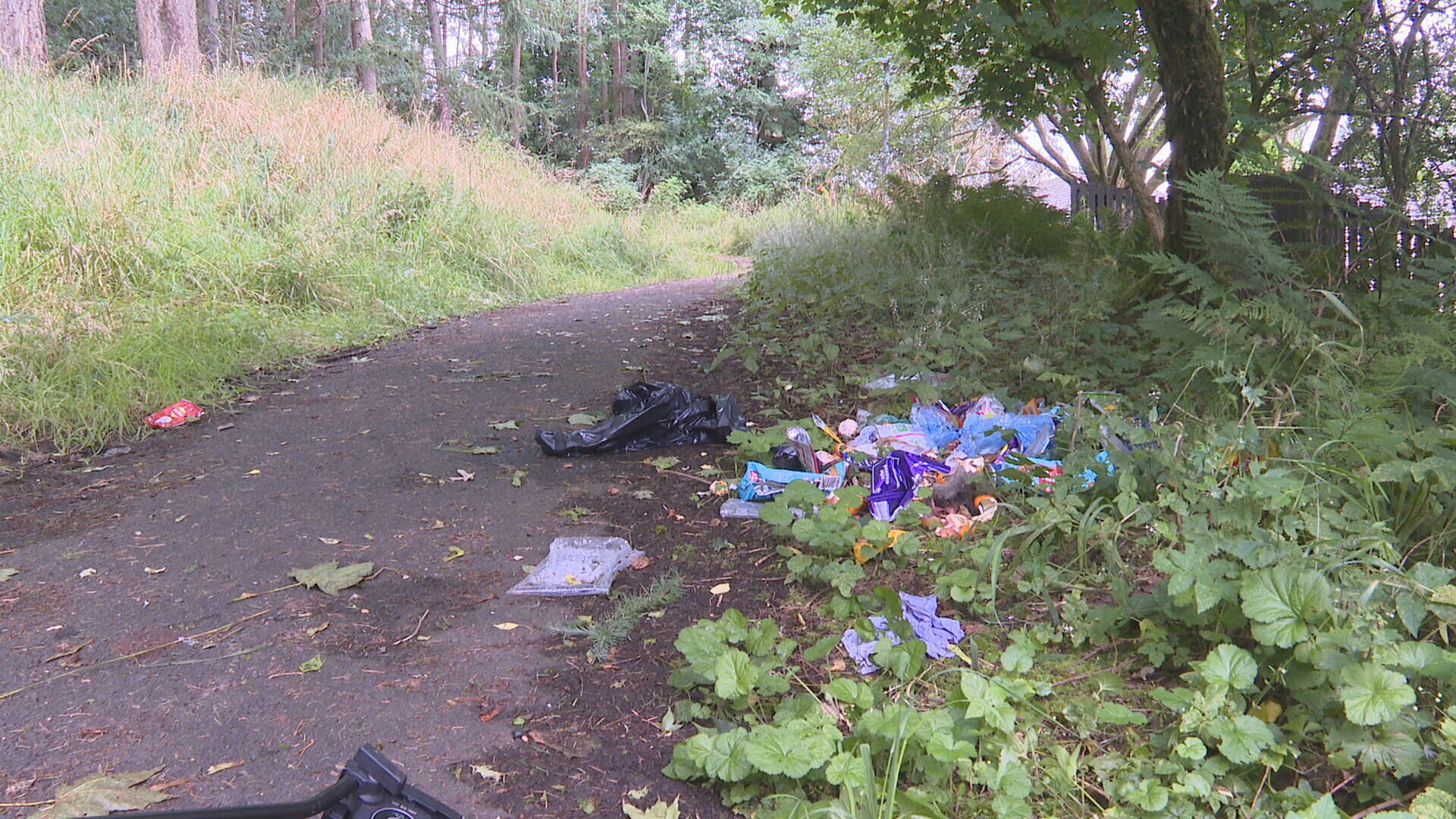 Part of the route to school