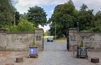 Plans revealed for giant tree maze in Midlothian adventure playground expansion