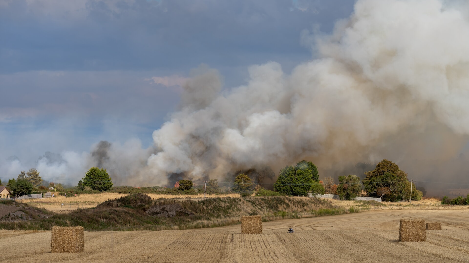The wildfire broke out near a new housing development in Lossiemouth.