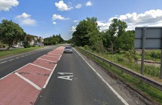 Woman, 50, dies after being struck by multiple vehicles on A1 closed overnight