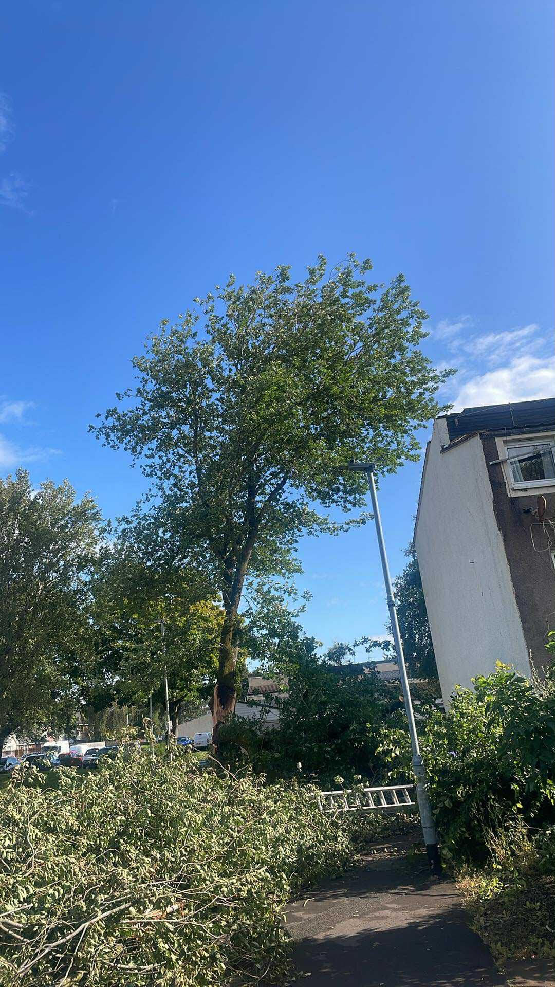 The tree smashed into Michael’s house in Glenapp Place, Pennyburn, when he was out on Monday afternoon.