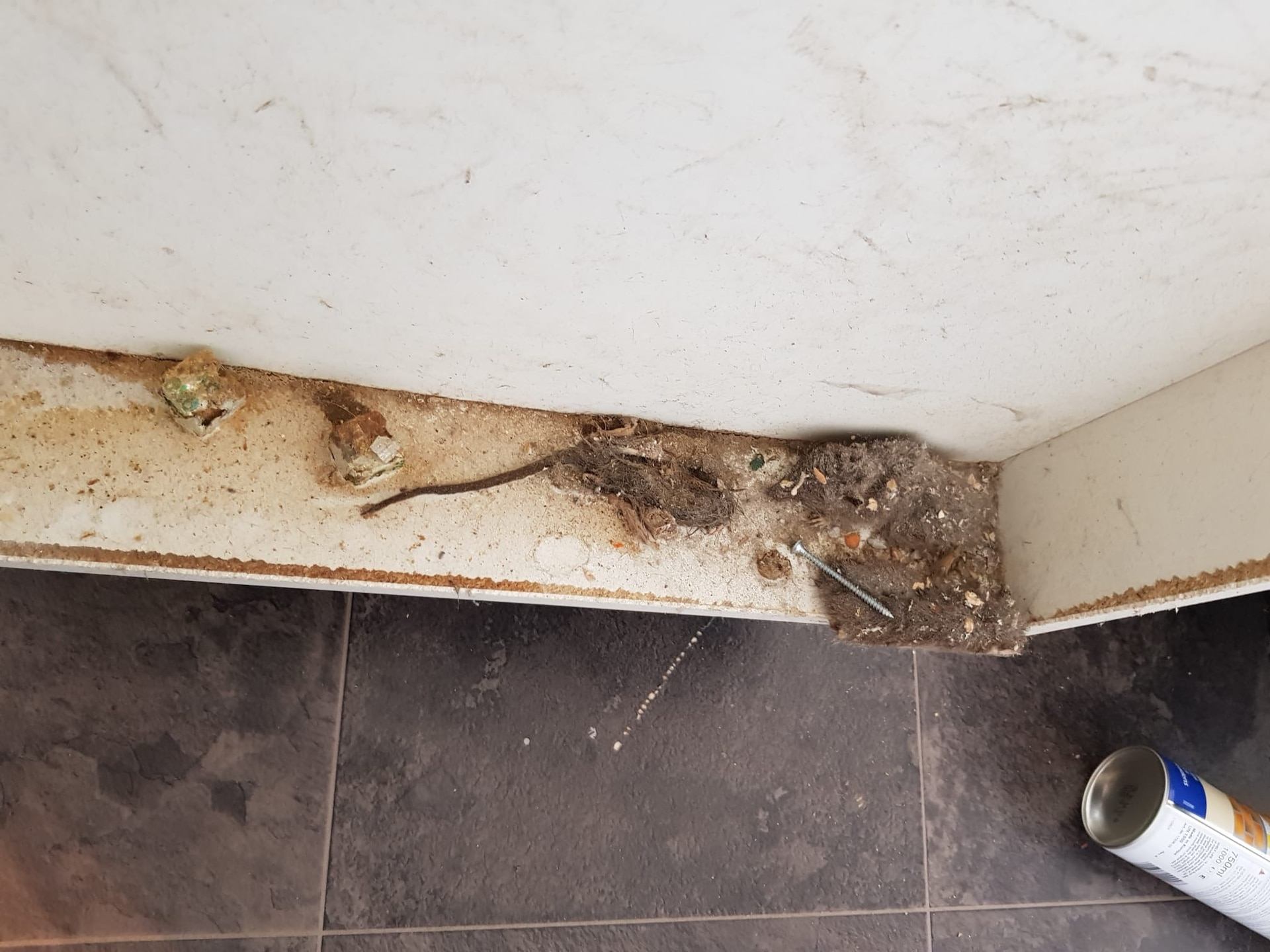 Rats have been entering Linda's home.