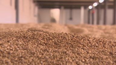 Barley stocks could dry up without price rise, warns industry