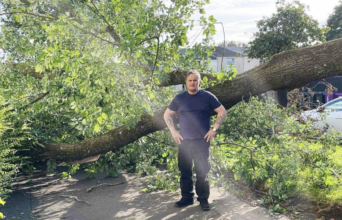 Tree finally removed after wreaking havoc in Storm Floris