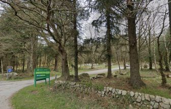 Police searching for runner after woman assaulted in Dalbeattie woods
