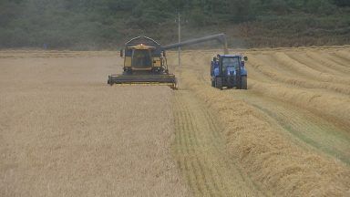 From drought to downpours: Scotland’s barley crop suffers in season of extremes