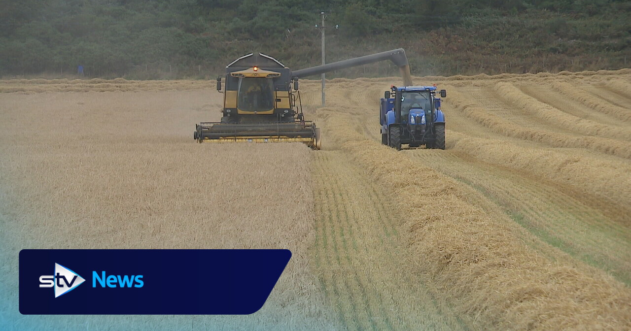 From drought to downpours: Scotland’s barley crop suffers in season of extremes