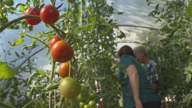 Aberfeldy on a mission to become Scotland’s healthiest town