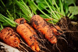 Listed house owner bids for permission to grow vegetables