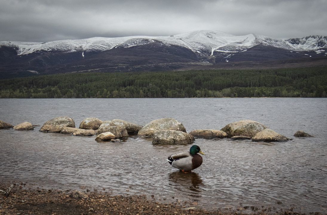 National parks receive cash to help with ‘global fight’ for nature and climate