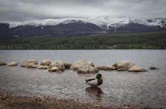 National parks receive cash to help with ‘global fight’ for nature and climate