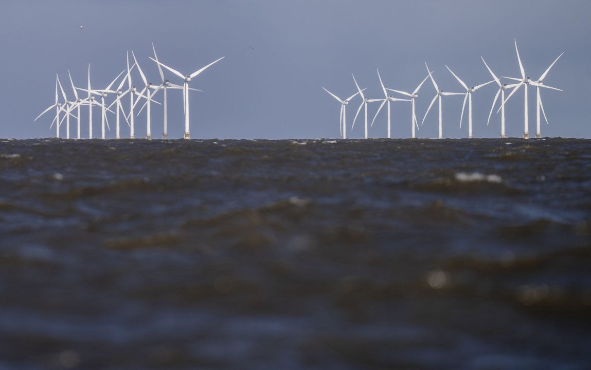 Fishing leaders call for immediate halt to wind farm expansion ‘stampede’