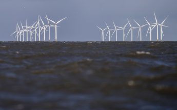 Fishing leaders call for immediate halt to wind farm expansion ‘stampede’