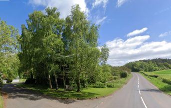 Couple buy 2,800 square metre garden from council for £12,000