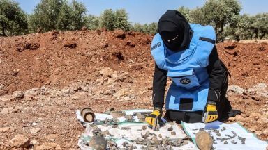 Charity to clear landmines to help frankincense tree project in war-torn Somalia