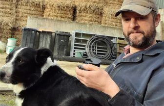 Aberdeenshire farmer forced to sell sheep after eye test uncovered incurable brain tumour