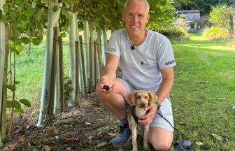 Professor unearths black truffle cultivated on Isle of Bute 