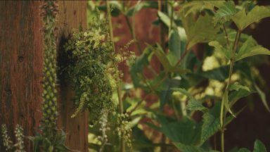 Sensory garden inspired by the isles to be installed in Edinburgh