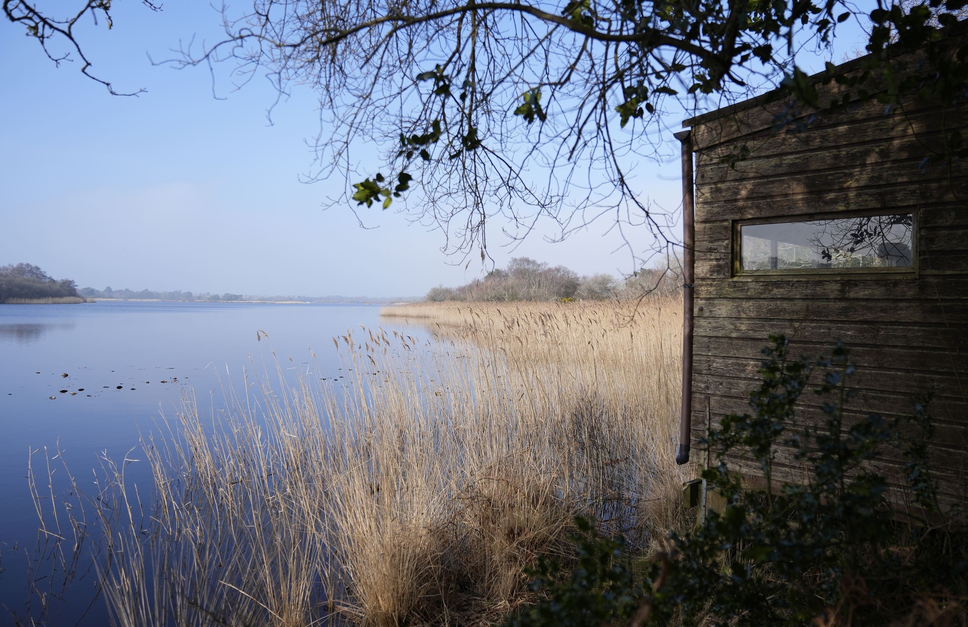 There has been a decline in the percentage of land in England that has been protected for nature and is in good condition (Andrew Matthews/PA).