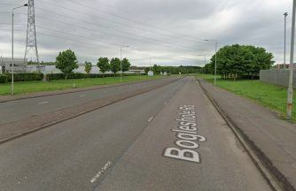 Man and dog injured after being set upon by ‘group of dogs’ in Glasgow