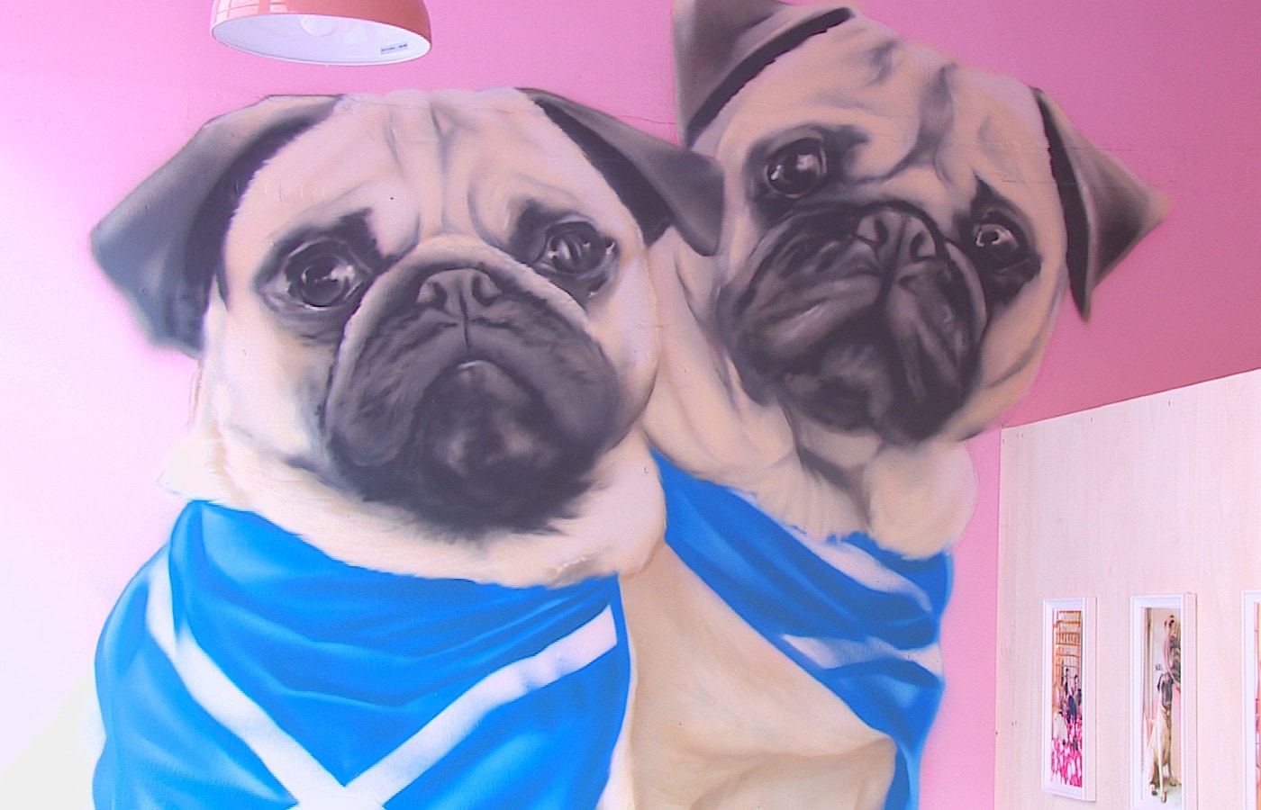 Cuppapug, which already runs cafes in London and California, says it's on a mission to help find new homes for rescued pugs.