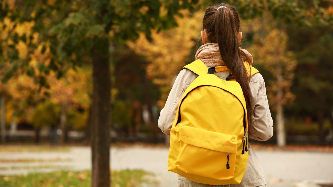 A third of girls avoid taking public transport alone over safety fears, survey finds