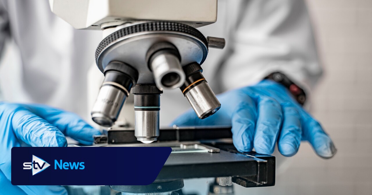 Glasgow researchers join global efforts to tackle neglected tropical disease