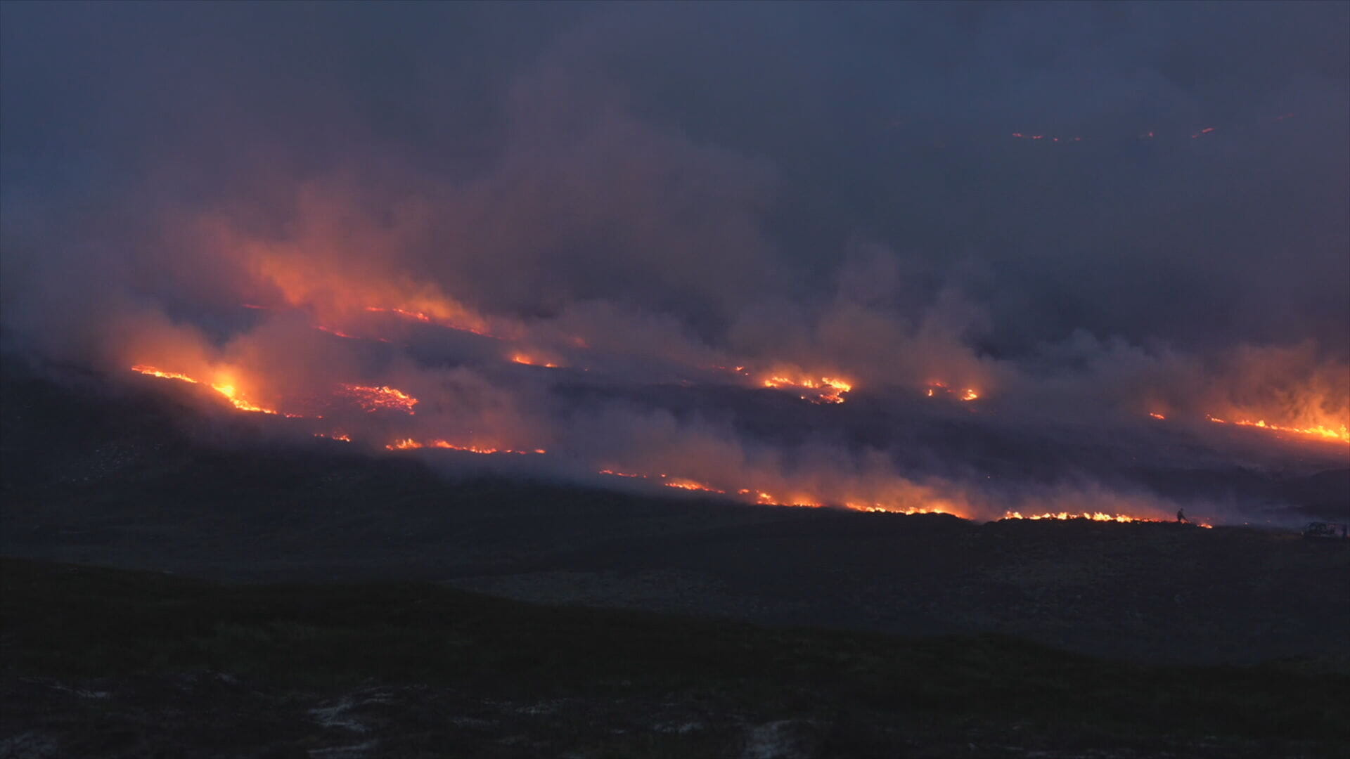 The wildfires in the Cairngorms burned over a period of five weeks