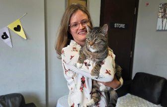 Missing cat reunited with owners after nine years thanks to microchip
