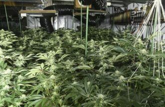 Three men jailed after £1.8m cannabis factory found at derelict shopping centre