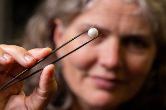 ‘One-of-a-kind’ Scottish freshwater pearl goes on display