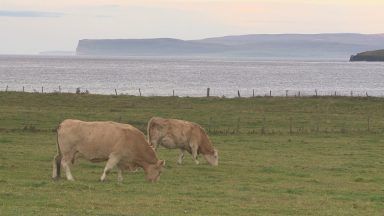 North East farmers say rural crime is on the rise