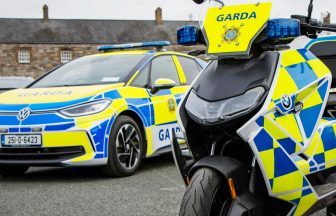 Woman dies after being stung by bees in Co Mayo