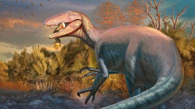 Scientists discover new dinosaur from Argentina with crocodile bone in its mouth