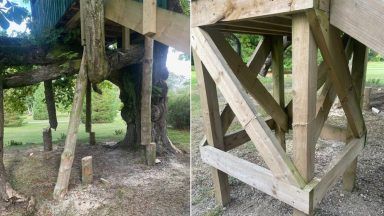Vandals saw through children’s treehouse in Aberdeenshire country park 