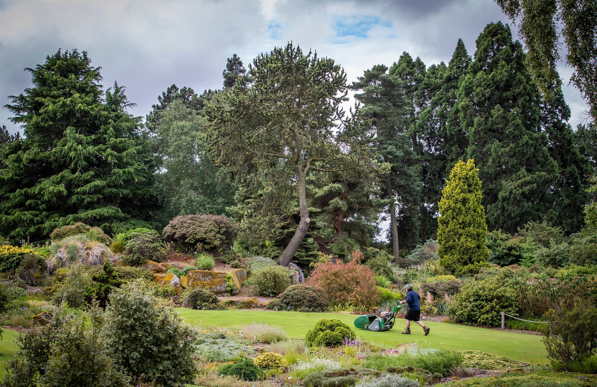 The Royal Botanic Garden Edinburgh is home to more than 13,500 species of plant across its four sites