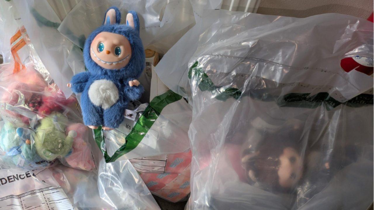 More than 100 fake Labubu dolls seized from shops in Elgin