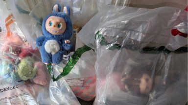 More than 100 fake Labubu dolls seized from shops in Elgin