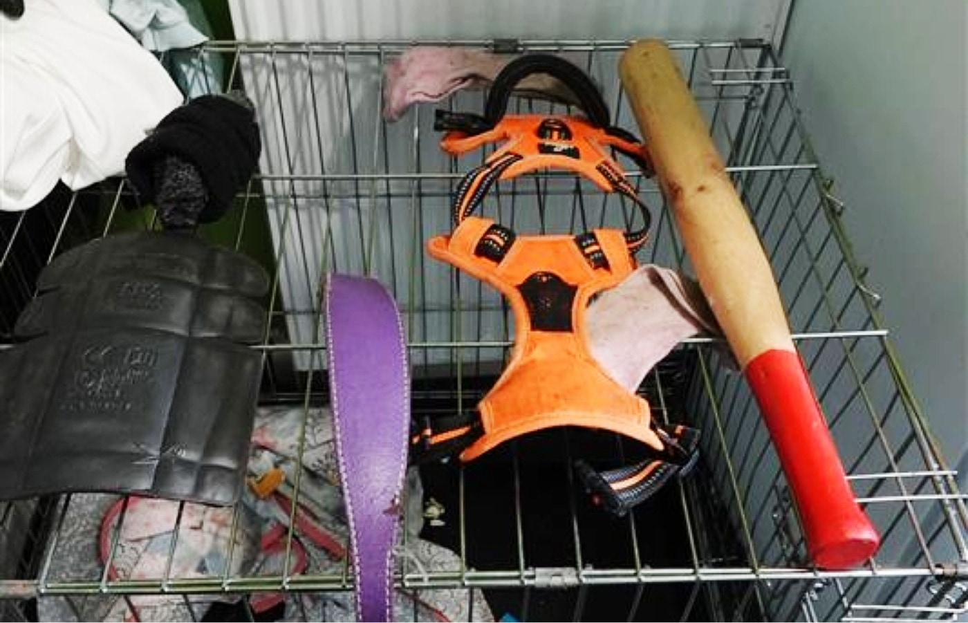 Dysart owned equipment 'designed or adapted for use at an animal fight', including shovels, a fork, snares, camouflage clothing, high-powered lamps, and mobile phones.