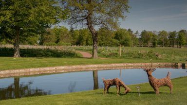 East Lothian estate unveils plans for £1.5m woodland adventure play trail at Archerfield Walled Garden