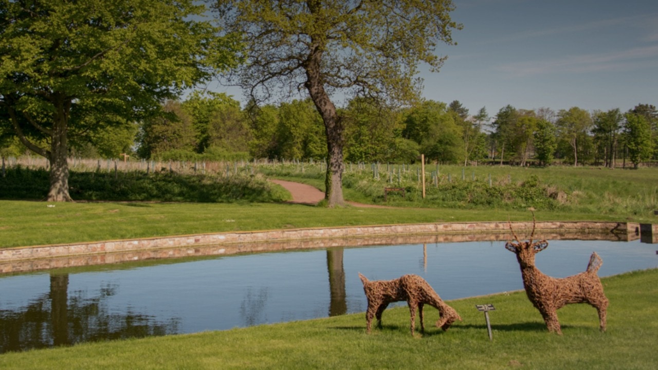 East Lothian estate unveils plans for £1.5m woodland adventure play trail at Archerfield Walled Garden
