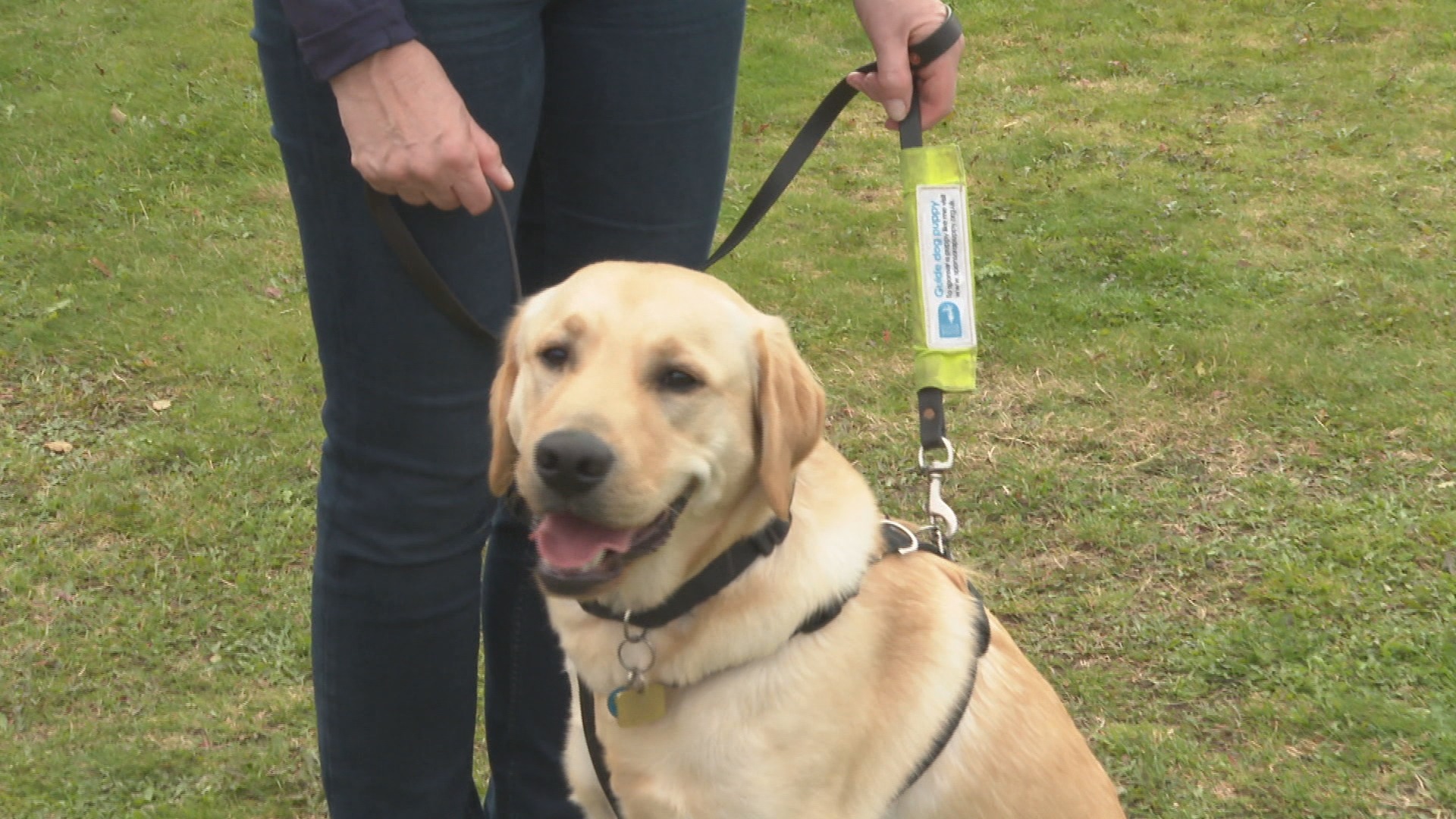 Guide Dogs Scotland 'grateful' for community support